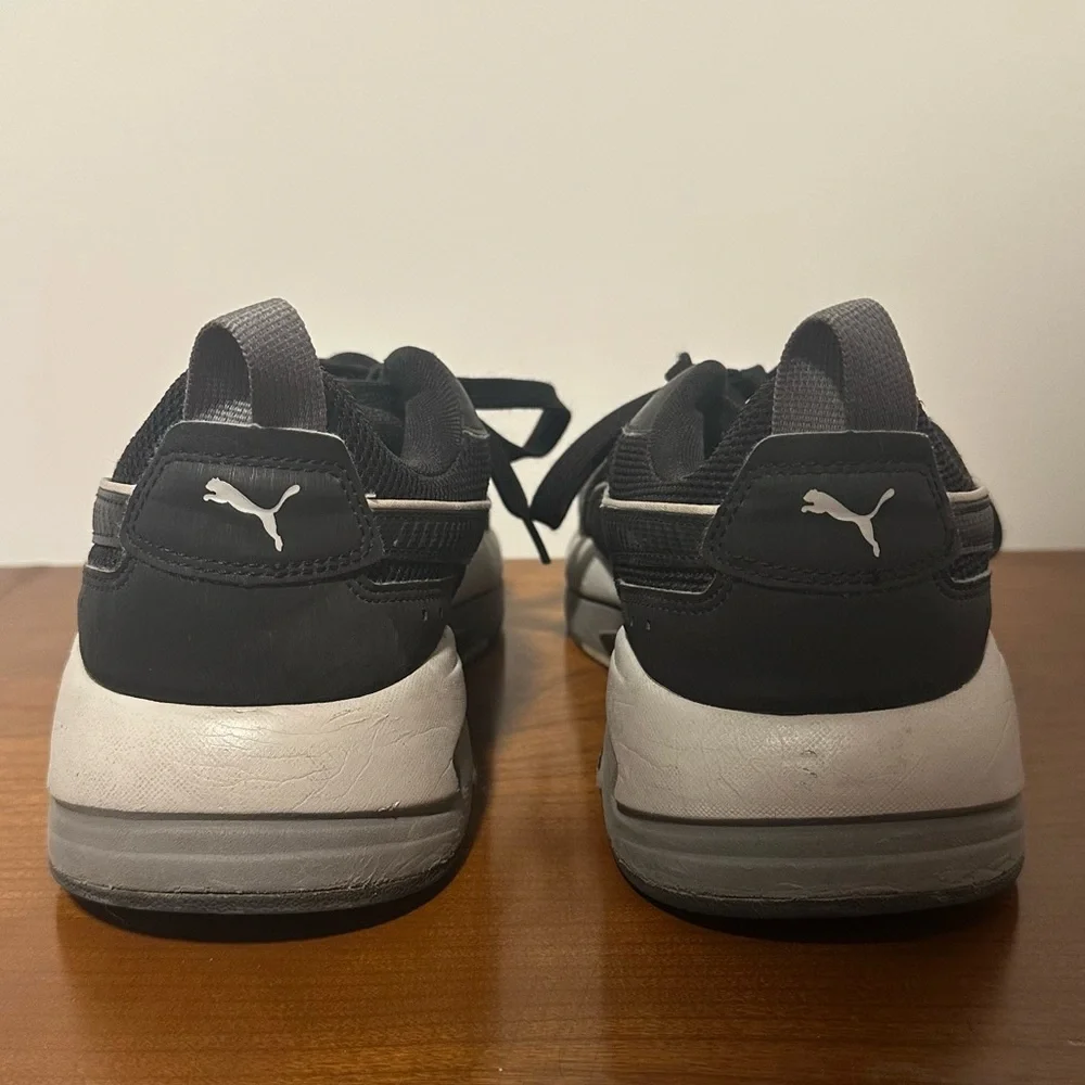 Puma pumax ray